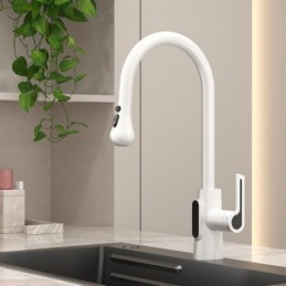 Kitchen Mixer Tap for Hot...